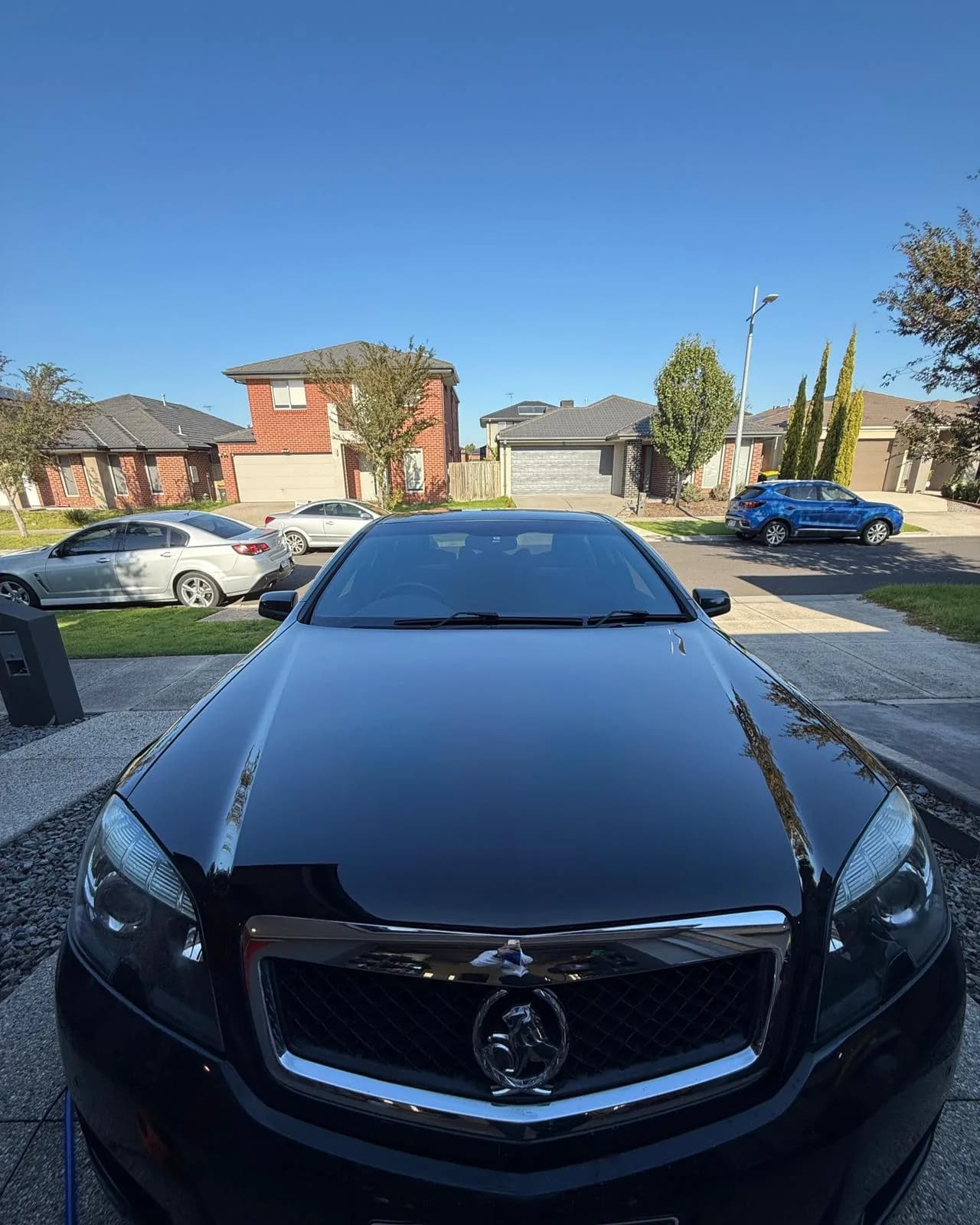 Black Holden Caprice bonnet with a deep wet-look gloss after detailing